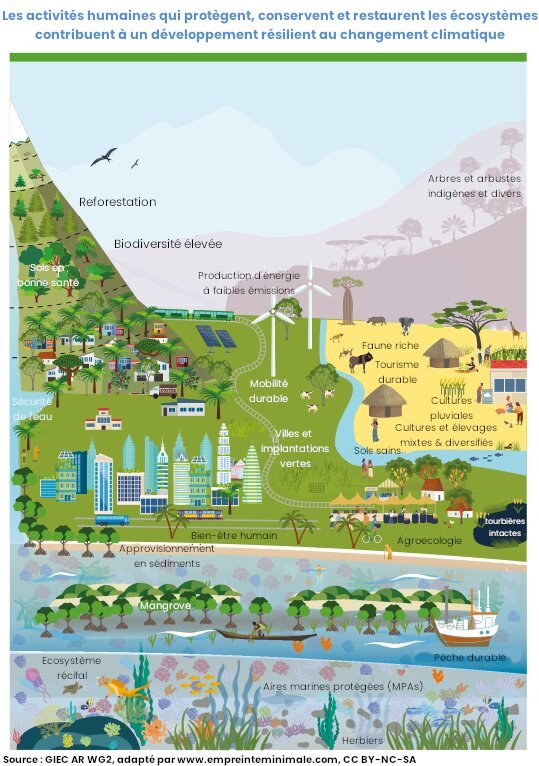 Schéma : Illustration des activités humaines résilientes au changement climatique